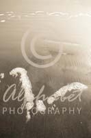 Alphabet Photography Letter W                                          