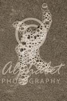 Alphabet Photography Letter X                                          