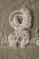 Alphabet Photography Letter X                                          
