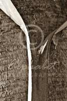 Alphabet Photography Letter Y                                          