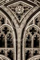 Alphabet Photography Letter Y                                          