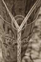 Alphabet Photography Letter Y                                          