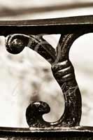 Alphabet Photography Letter Y                                          