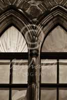 Alphabet Photography Letter Y                                          