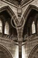 Alphabet Photography Letter Y                                          