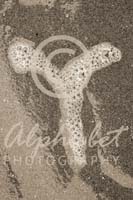 Alphabet Photography Letter Y                                          