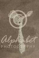 Alphabet Photography Letter Y                                          