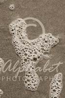 Alphabet Photography Letter Y                                          