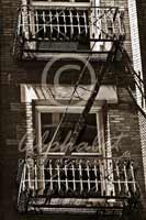 Alphabet Photography Letter Z                                          