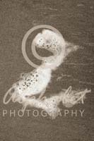 Alphabet Photography Letter Z                                          