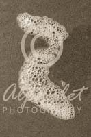 Alphabet Photography Letter Z                                          