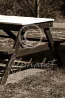 Alphabet Photography Letter A