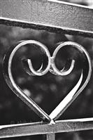 Alphabet Photography Symbol