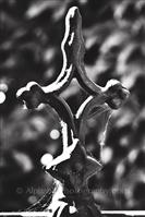 Alphabet Photography Symbol