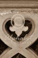 Alphabet Photography Symbol Heart                                      