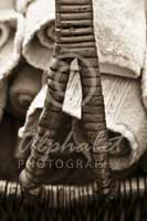 Alphabet Photography Letter A                                          