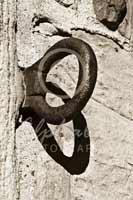 Alphabet Photography Letter B                                          