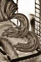 Alphabet Photography Letter B                                          