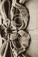 Alphabet Photography Letter B                                          