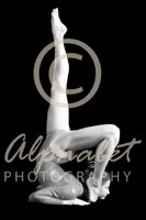 Alphabet Photography Letter B                                          