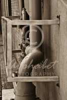 Alphabet Photography Letter C                                          