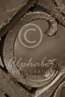 Alphabet Photography Letter C                                          