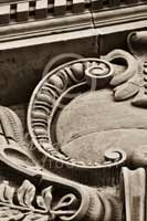 Alphabet Photography Letter C                                          