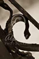 Alphabet Photography Letter C                                          