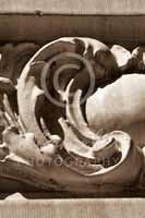 Alphabet Photography Letter C                                          
