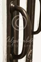 Alphabet Photography Letter D                                          