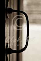 Alphabet Photography Letter D                                          