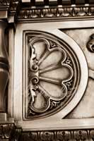 Alphabet Photography Letter D                                          