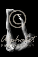 Alphabet Photography Letter D                                          