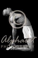 Alphabet Photography Letter D                                          