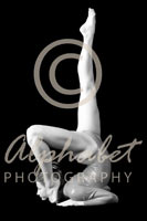 Alphabet Photography Letter D                                          