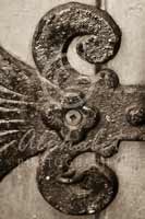 Alphabet Photography Letter E                                          
