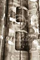 Alphabet Photography Letter E                                          