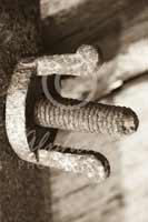Alphabet Photography Letter E                                          