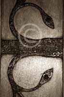 Alphabet Photography Letter E                                          
