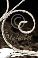 Alphabet Photography Letter E                                          