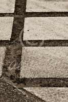 Alphabet Photography Letter E                                          