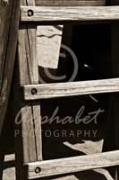 Alphabet Photography Letter E                                          