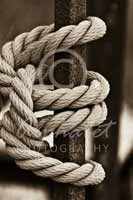 Alphabet Photography Letter E                                          
