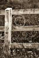 Alphabet Photography Letter E                                          