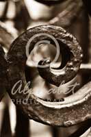 Alphabet Photography Letter E                                          