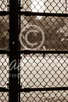Alphabet Photography Letter E                                          