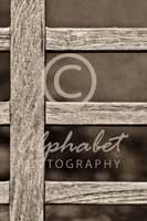 Alphabet Photography Letter E                                          