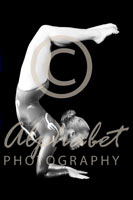 Alphabet Photography Letter E                                          