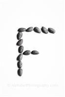 Alphabet Photography Letter F