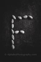 Alphabet Photography Letter F